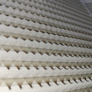 Premade Fan Eyelashes In Box