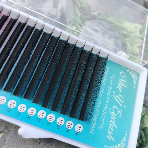 Eyelash W