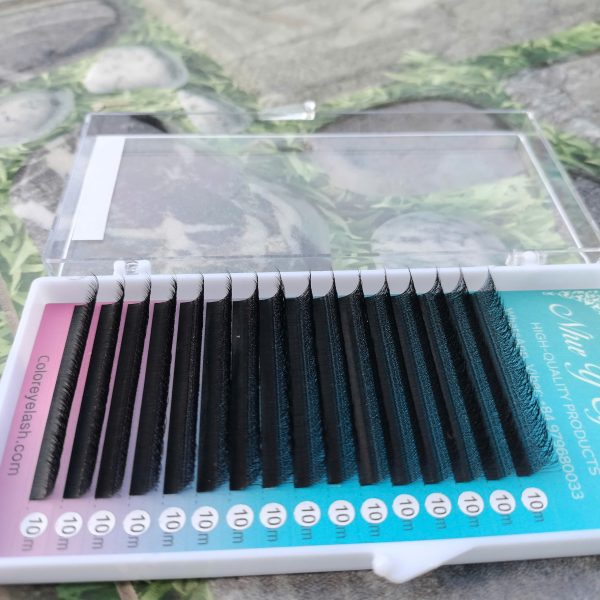 Eyelash W