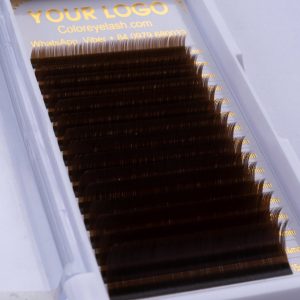 Eyelashes Tray