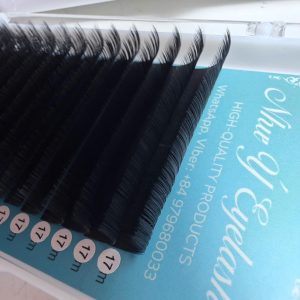 Eyelashes Tray