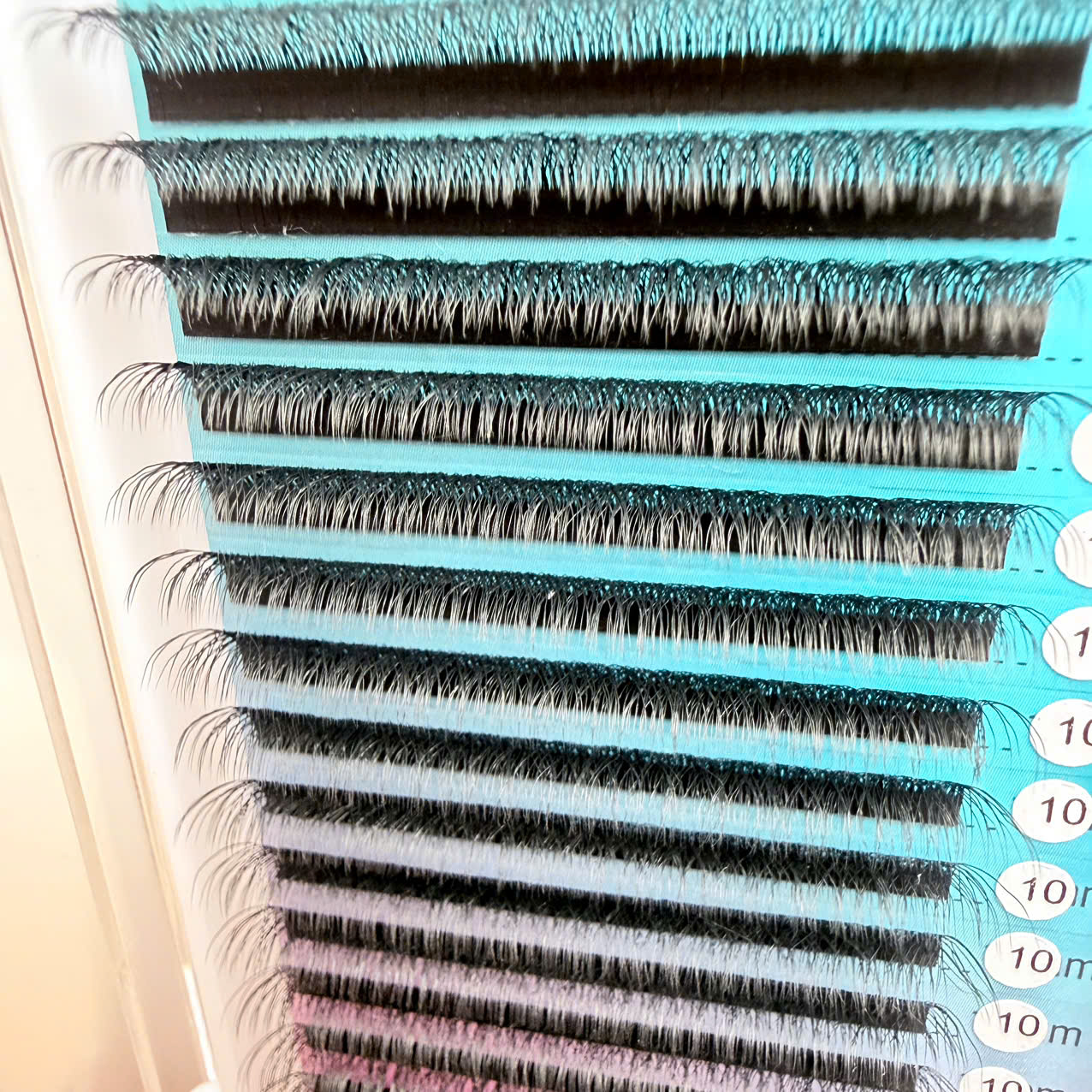 Eyelashes W Eyelashes W