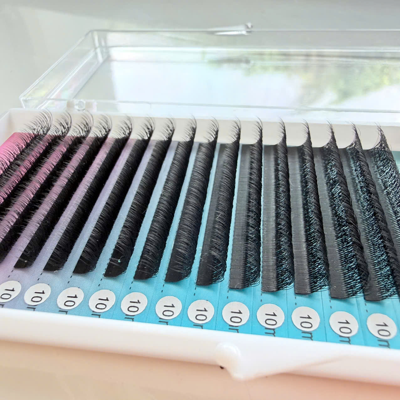 Eyelashes W Eyelashes W