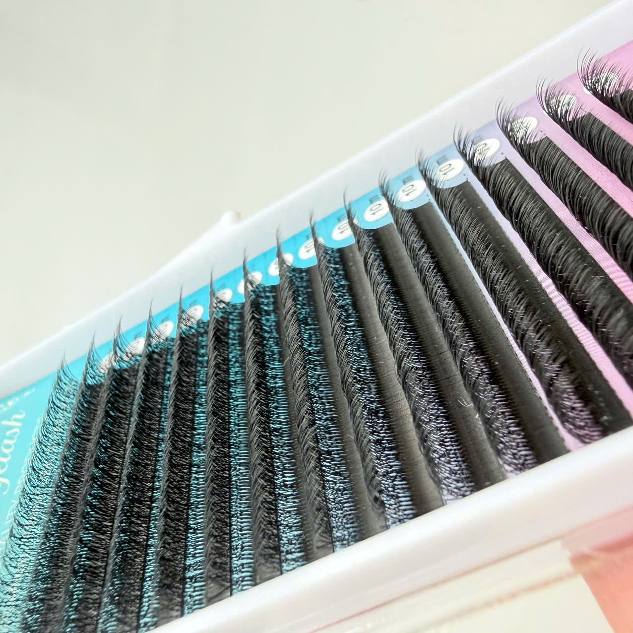 Eyelashes W Eyelashes W