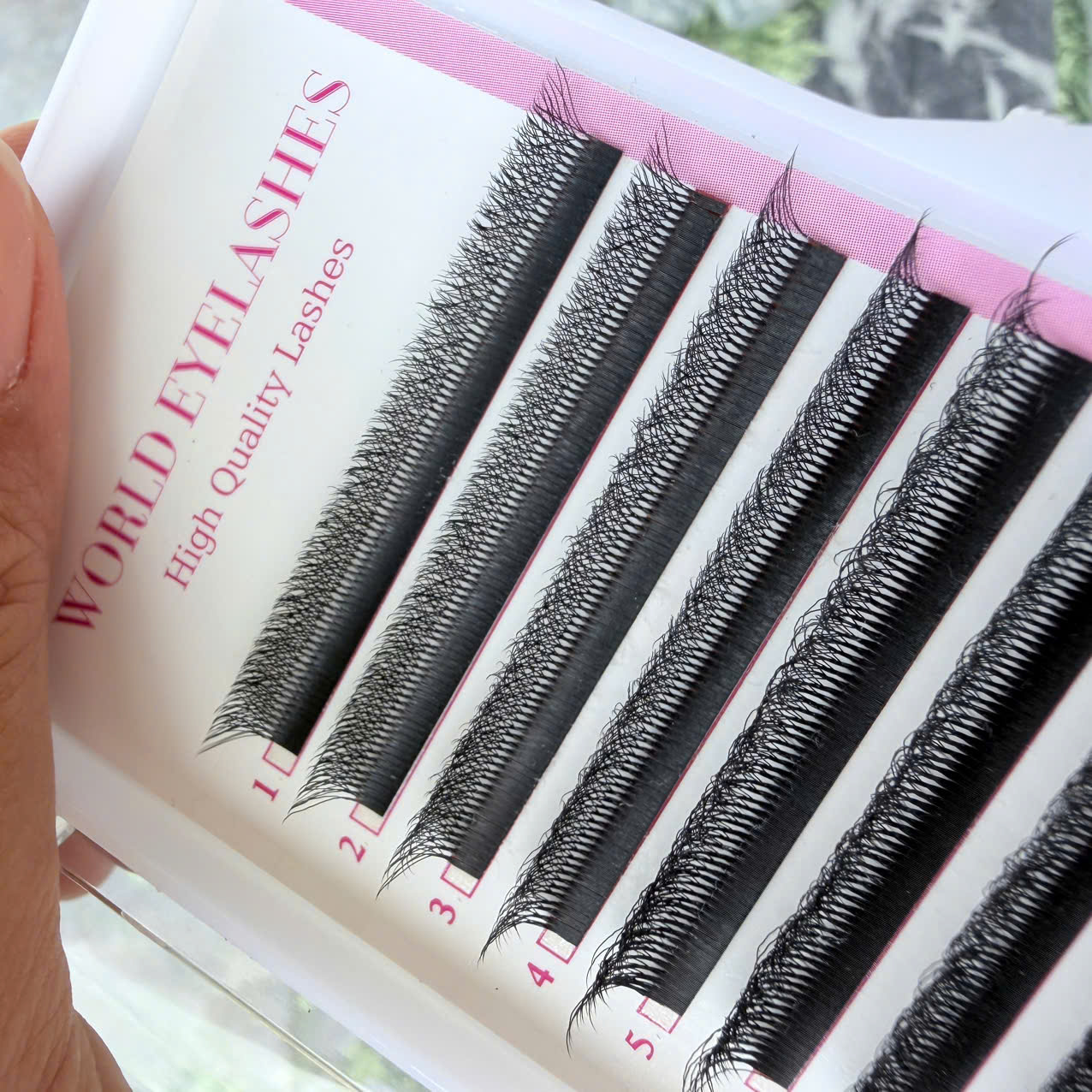 Eyelashes W Eyelashes W