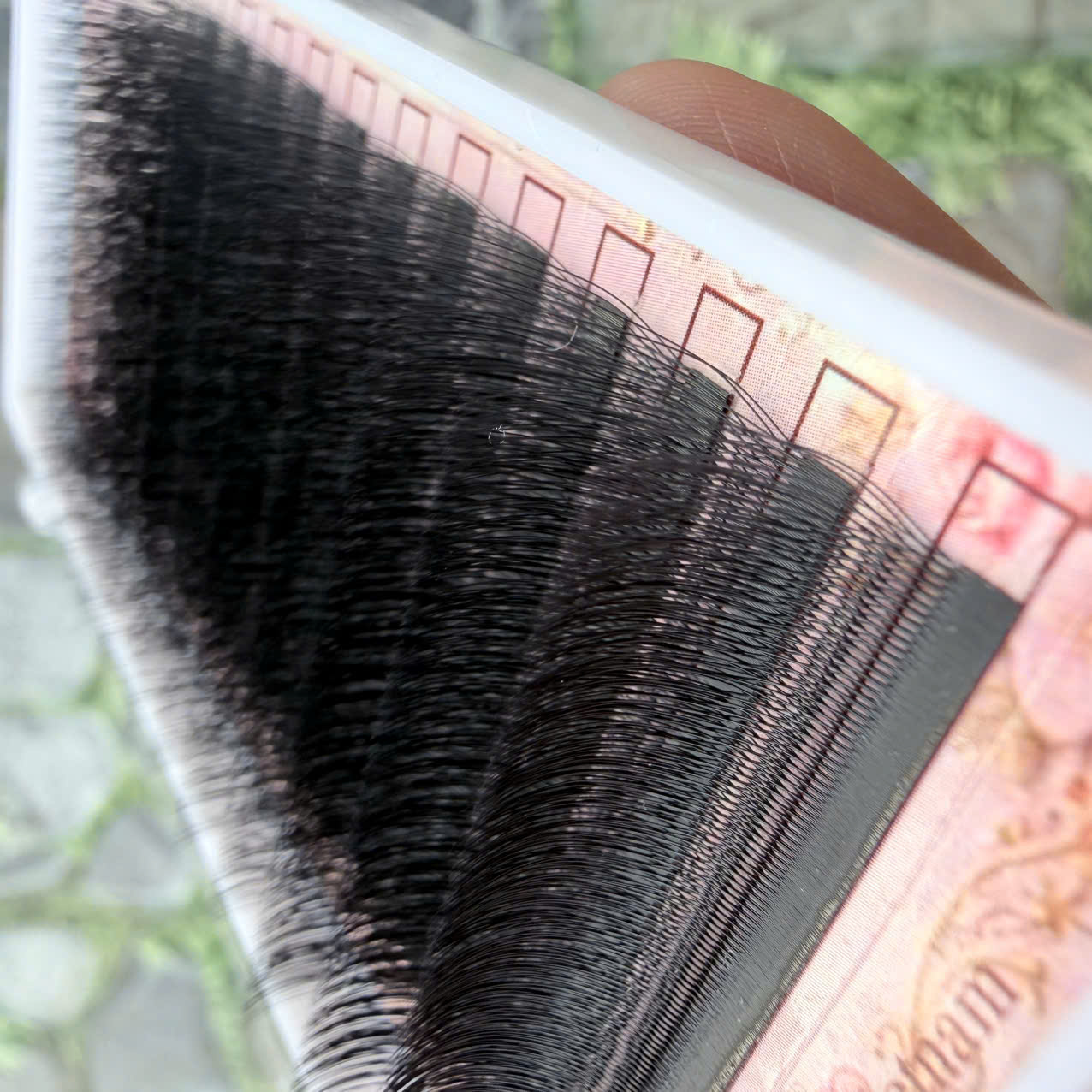 Eyelashes W Eyelashes W