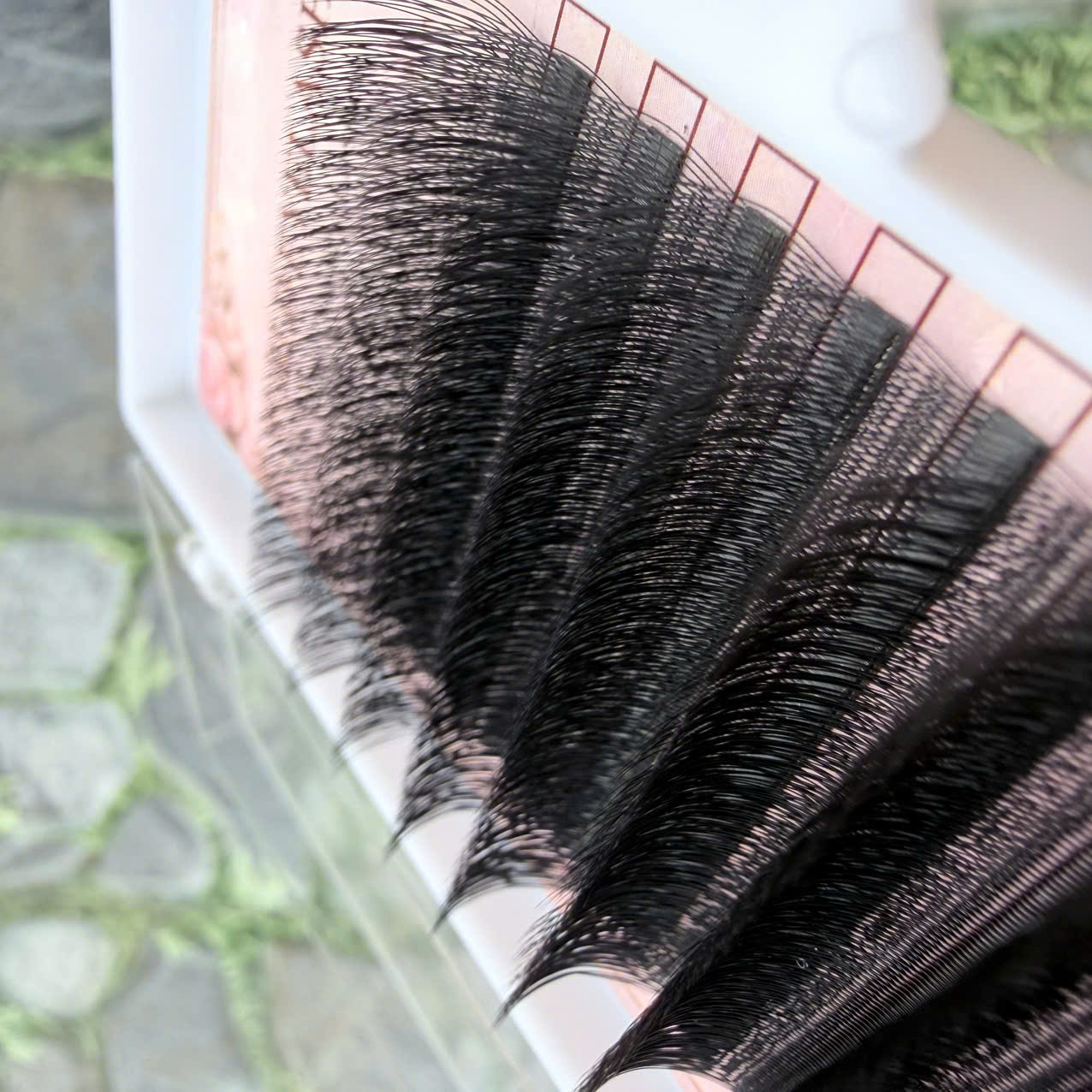 Eyelashes W Eyelashes W