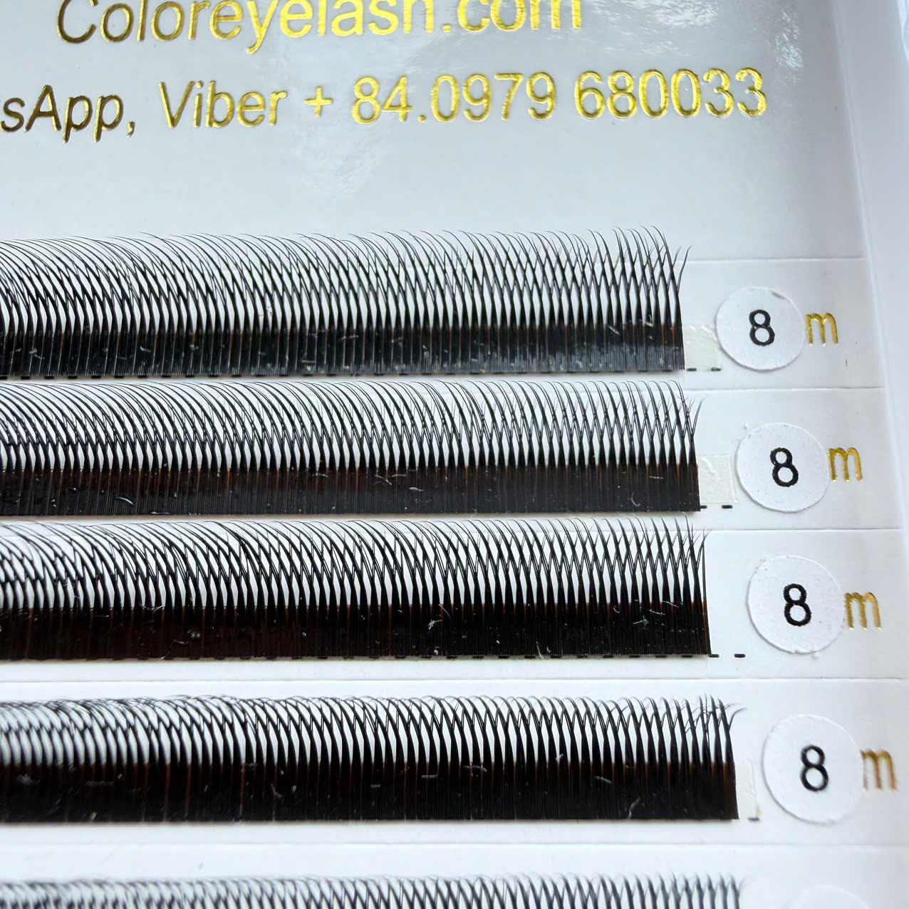 Eyelashes W Eyelashes W