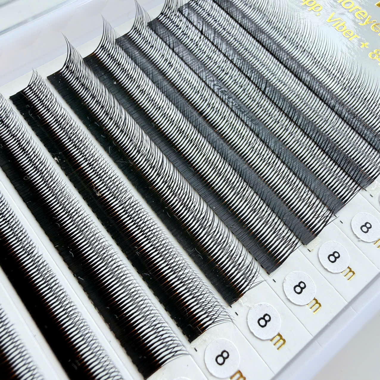 Eyelashes W Eyelashes W