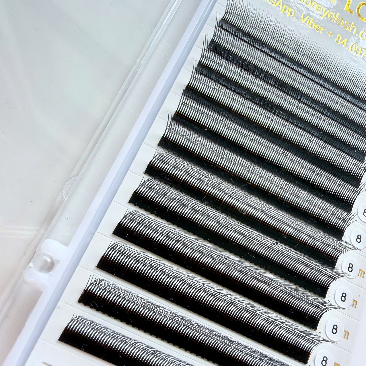 Eyelashes W Eyelashes W