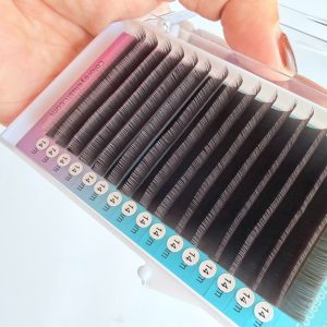 Eyelashes Tray Brown