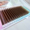Eyelashes Tray Brown