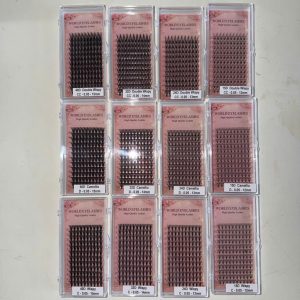 Wispy Double Wispy Camellia Eyelash 15d To 40d, Thickness 0.05/0.07, Lenght 10mm To 20mm Made In Viet Nam