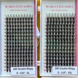 Wispy Double Wispy Camellia Eyelash 15d To 40d, Thickness 0.05/0.07, Lenght 10mm To 20mm Made In Viet Nam