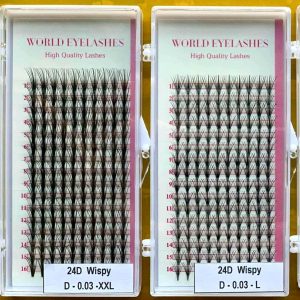 Wispy Double Wispy Camellia Eyelash 15d To 40d, Thickness 0.05/0.07, Lenght 10mm To 20mm Made In Viet Nam