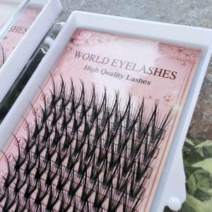 Wispy Double Wispy Camellia Eyelash 15d To 40d, Thickness 0.05/0.07, Lenght 10mm To 20mm Made In Viet Nam