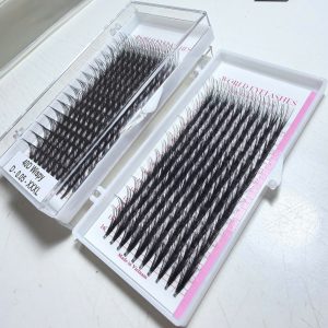 Wispy Double Wispy Camellia Eyelash 15d To 40d, Thickness 0.05/0.07, Lenght 10mm To 20mm Made In Viet Nam
